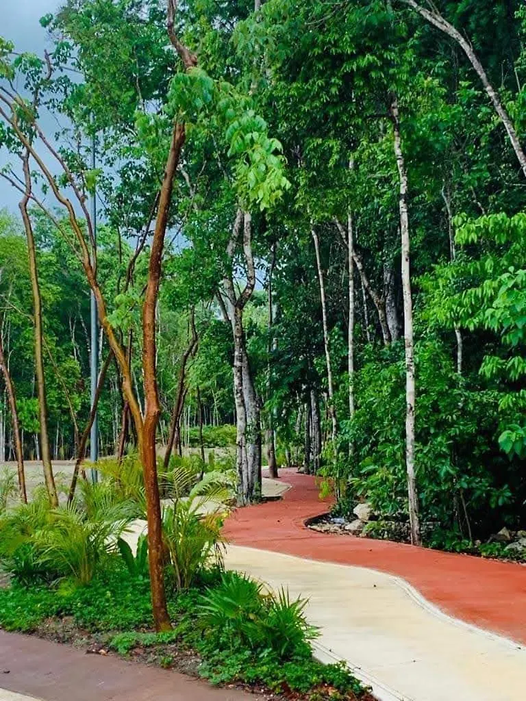 Casa Ruisu 2 Plantas Amueblada Alberca En Playa Del Carmen Mayakoba Seguridad Bien Ubicada Jardines Senderos Comercios Holiday home